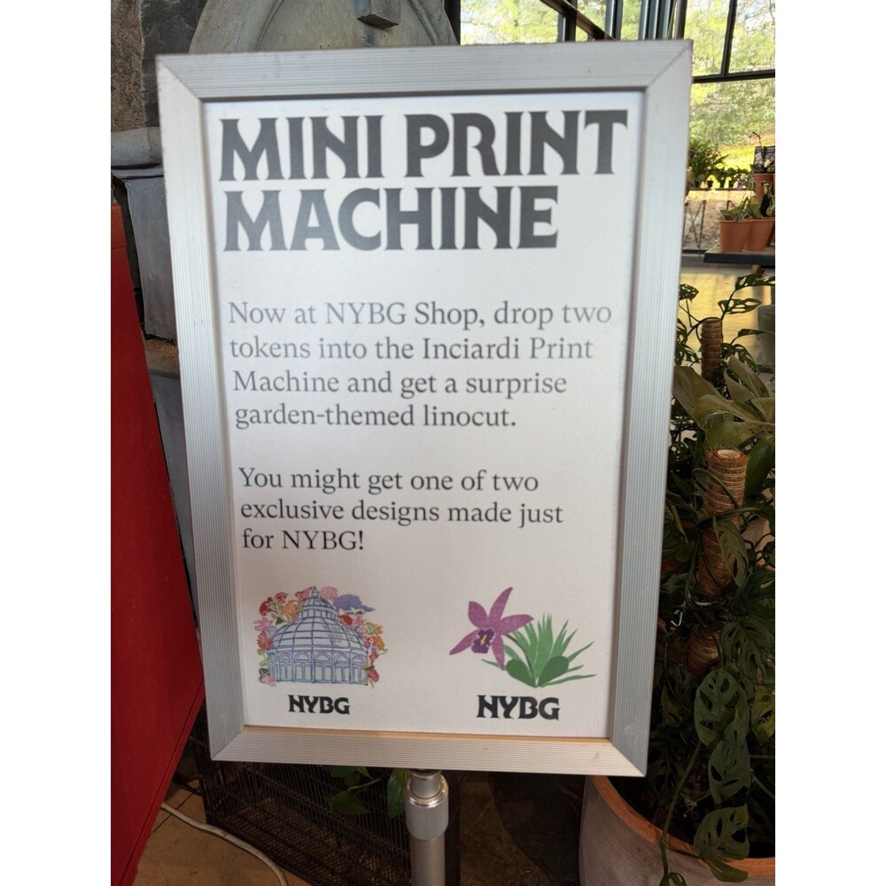 Ana Inciardi Mini Print NYBG Conservatory 2026 Orchid Show Exclusive - Picture 4 of 7
